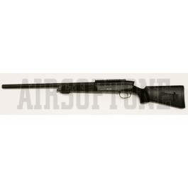 Steyr SSG 69 P2